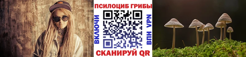 закладки  Находка  площадка формула  Псилоцибиновые грибы Psilocybe 
