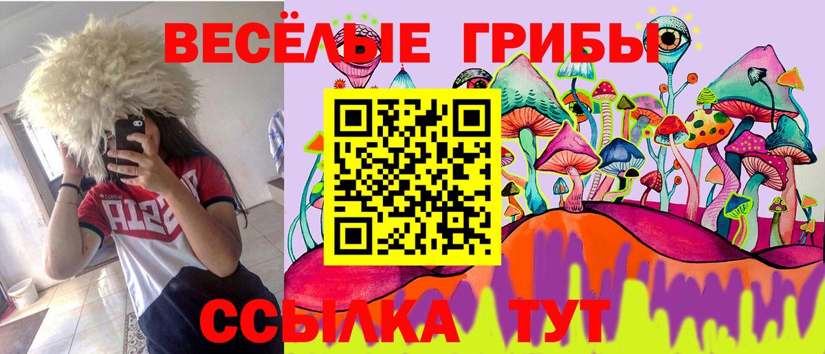 Псилоцибиновые грибы Magic Shrooms  Вход с VPN  где купить наркоту  Находка 